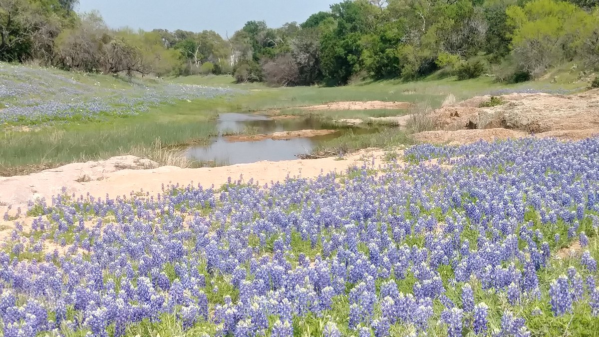 pastorscottc's tweet photo. This is where I spent my day. #WillowCityLoop #TexasHillCountry https://t.co/yciWtkN1Vu