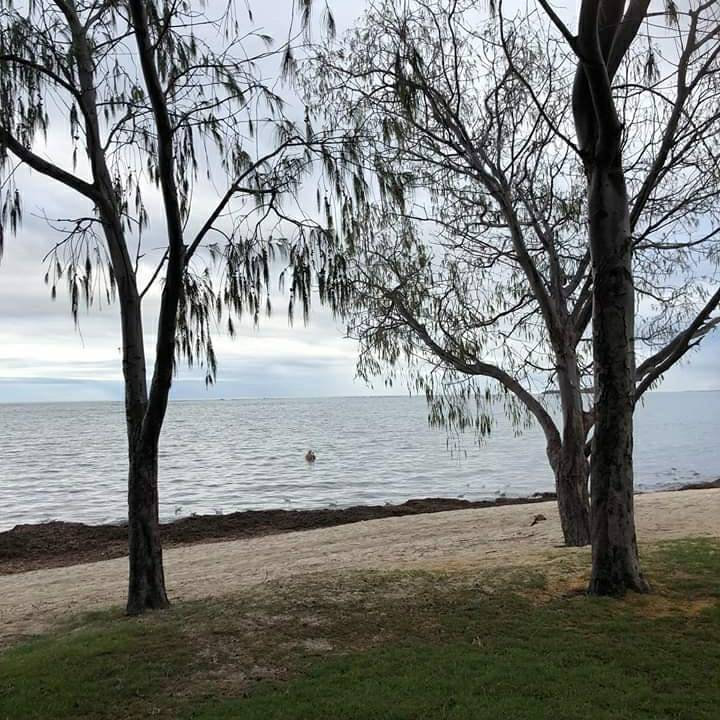 lancelin_lodge's tweet photo. Nature is sending us to our rooms for a while 🏝🏝🏝 #australia #beach #westernaustralia #lancelin #nature #takingabreak #stayathome #staysafe https://t.co/lxzg35uKU1