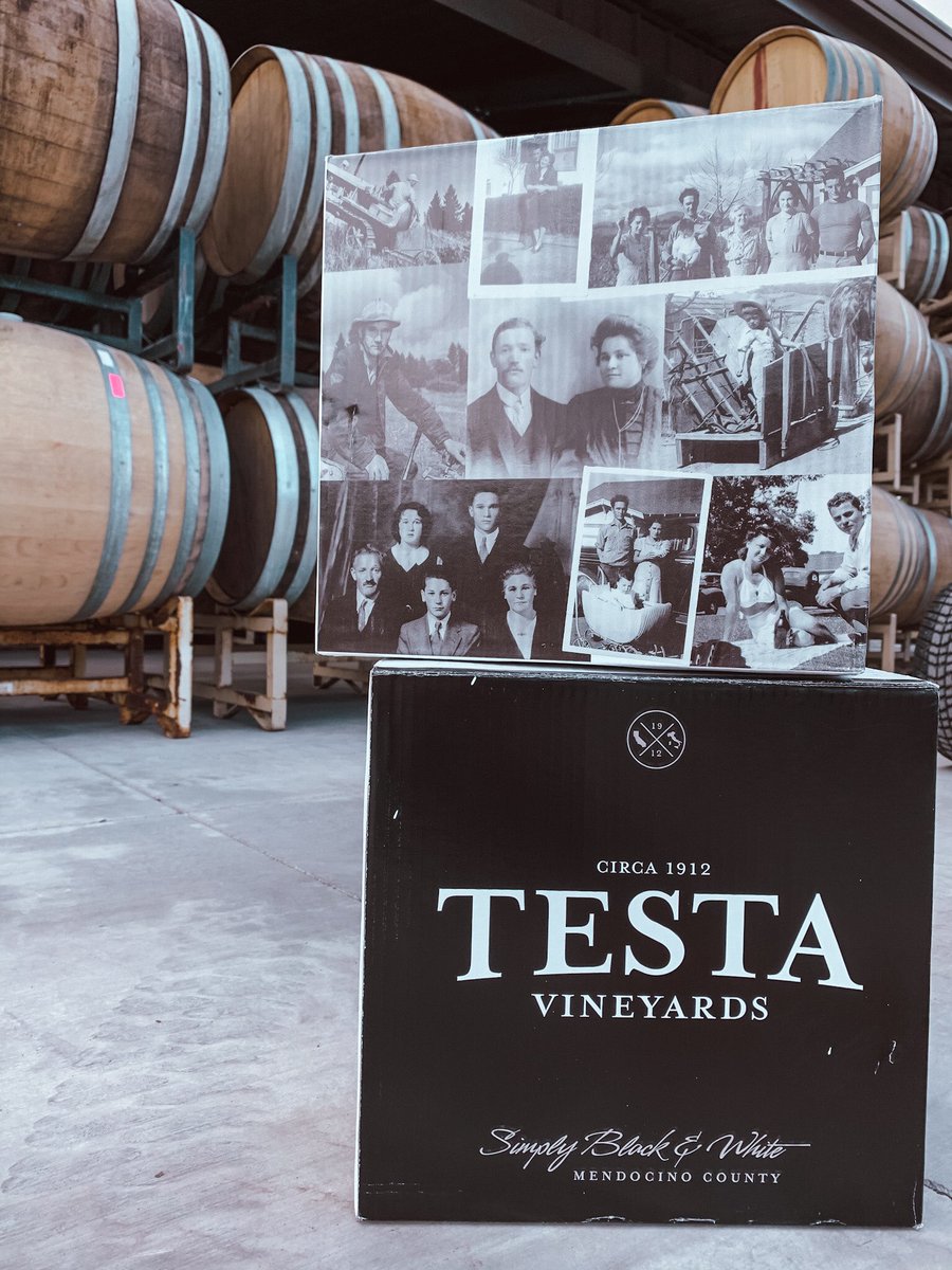 testavineyards's tweet photo. Stay home and enjoy FREE shipping on all case orders!🍷 https://t.co/dvkDKNY6Ie https://t.co/IKXZG4VB3K