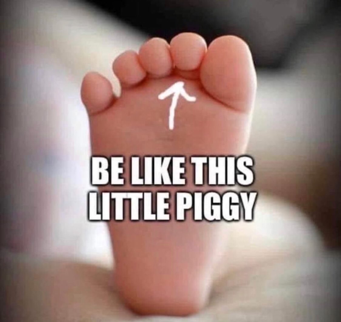 FortyPlusDivas's tweet photo. This little piggy #stayedhome #StayHome #StayHomeSaveLives #StayHomeStaySafe https://t.co/EFXgozh1dH