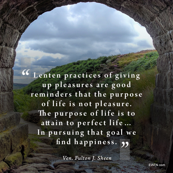 EWTN Global Catholic Network tweet media