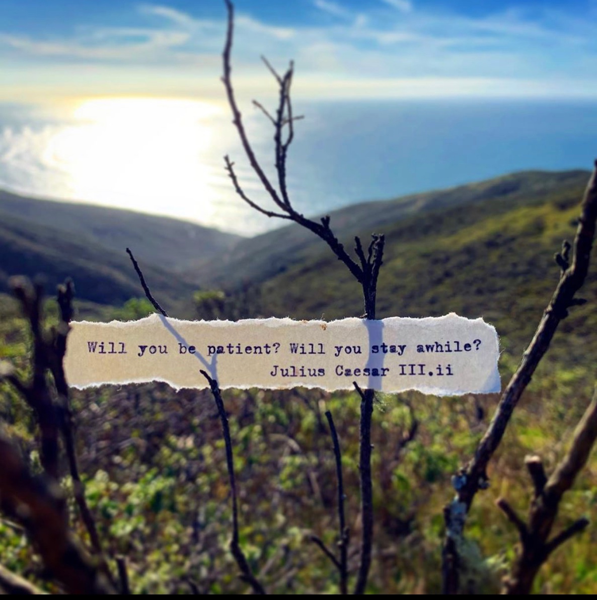 Shakespeare and Mindfullness = Solution