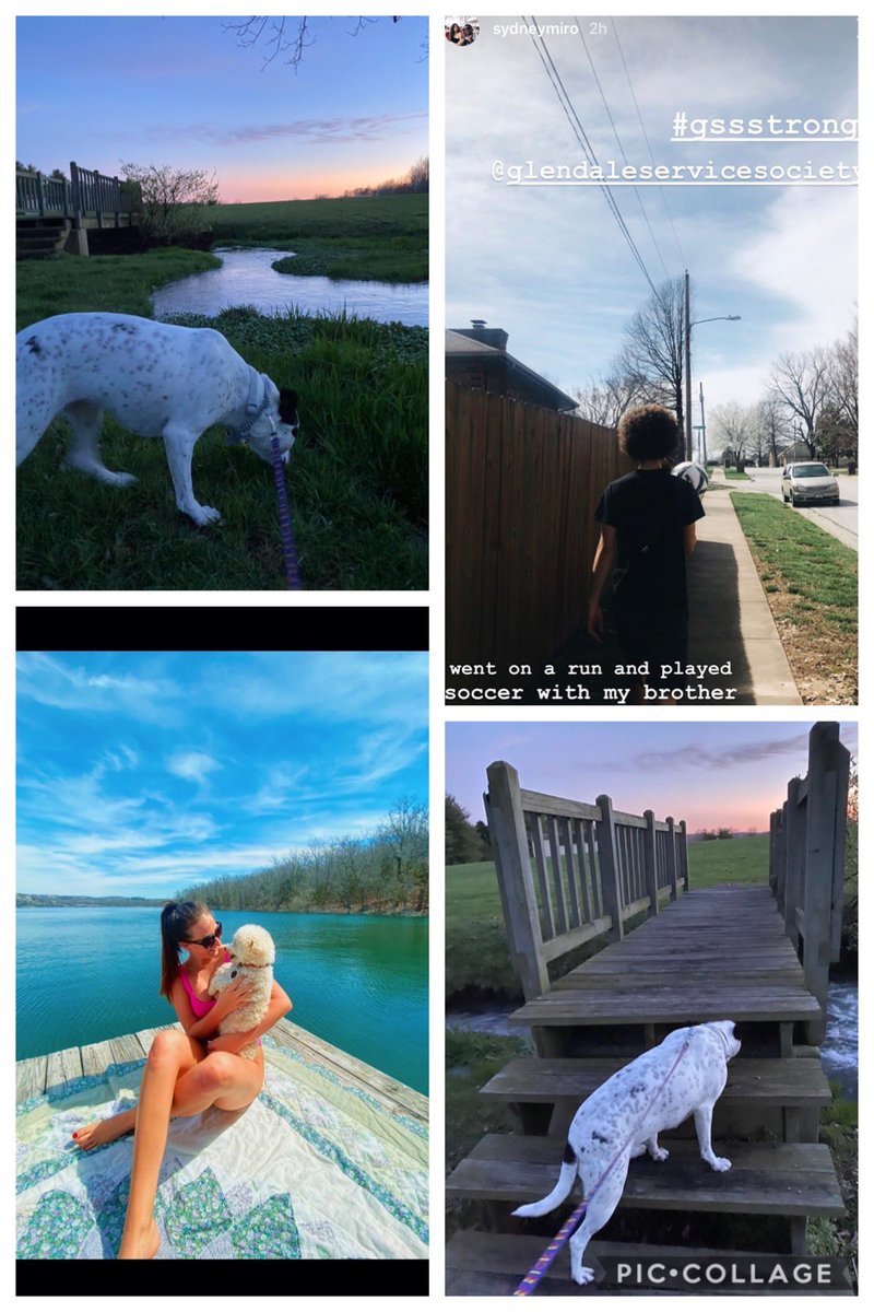 GSSGlendale's tweet photo. Fave moments from day 3 of #gssstrong and #gssgivesback how are you spending your day with this beautiful weather and 30 day shutdown ?! Keep on posting and sending us pics 🤩🤩 @GHSEvents @GHSstuco @MrJoshGroves https://t.co/K9GCUNPWb5