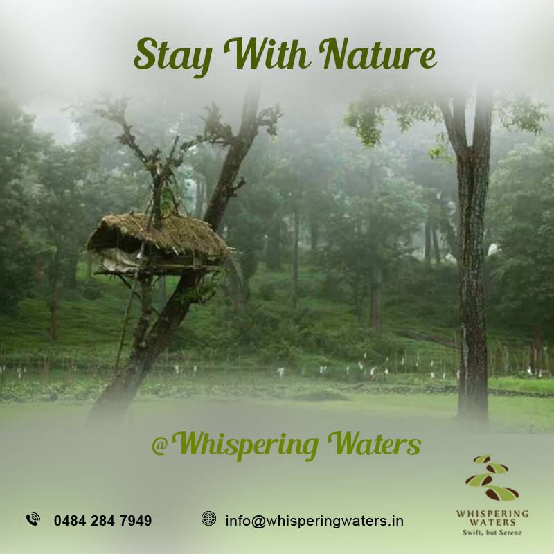 LiveKerala_com's tweet photo. #Familyresort near #PeriyarRiver Nature #resort:- Whispering Waters Call: + 91 70340 30390, +91 70340 30391 https://t.co/NQXConQOdq https://t.co/rkIZ5hKm7q