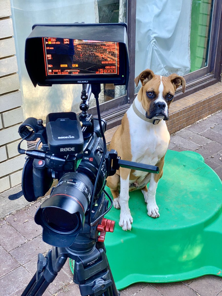 johnsffp's tweet photo. “Faster more intense” he’s a tough director! In the first episode of Ollie's Backyard, Ollie and John setup &amp; explain our to use a compost bin for your veggie garden: https://t.co/zZkRDetPLV

 #gardening #starwars #filmmaking #youtube #dogsoftwitter @donttrythis @StarWarsExplain https://t.co/0Wf8kwAZm3