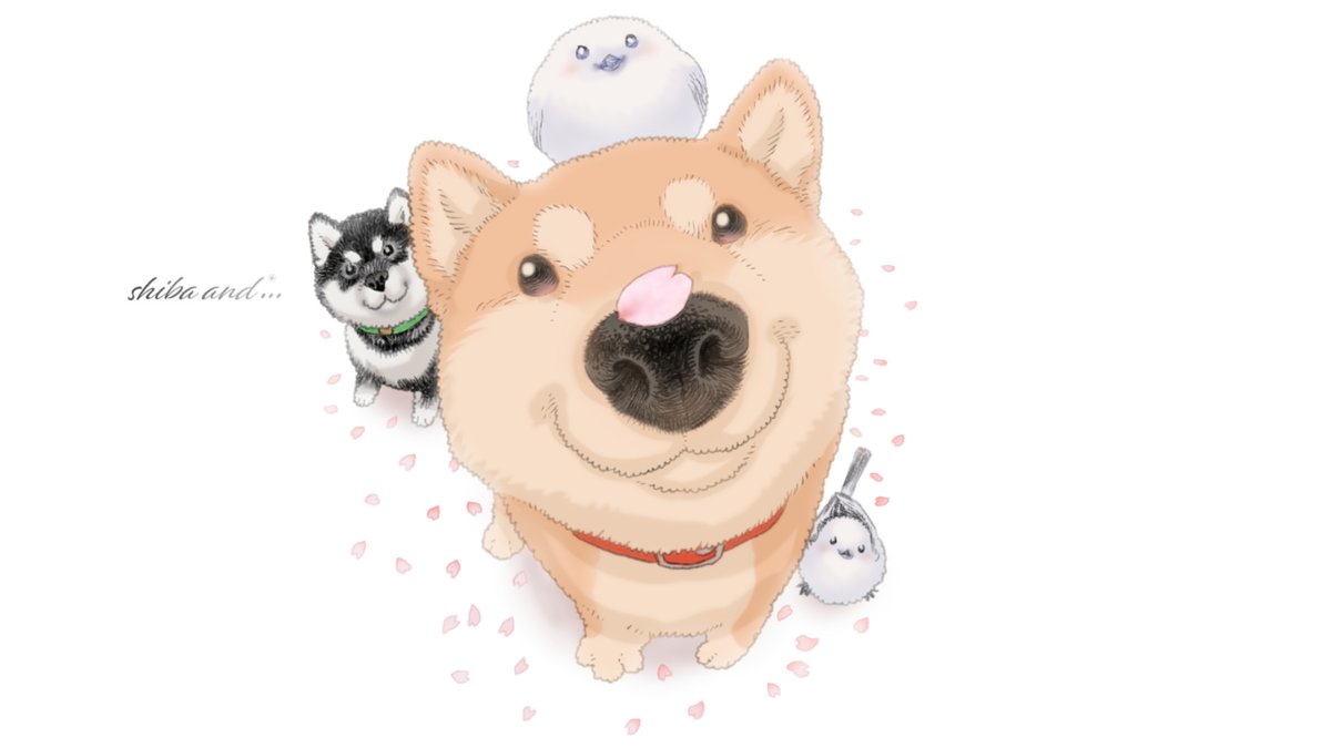 モフモフな豆柴ちゃんとシマエナガちゃん達 そして黒柴ちゃんも描きました ぽん吉 おやさい妖精さん書籍とカプセルトイ発売中 のイラスト