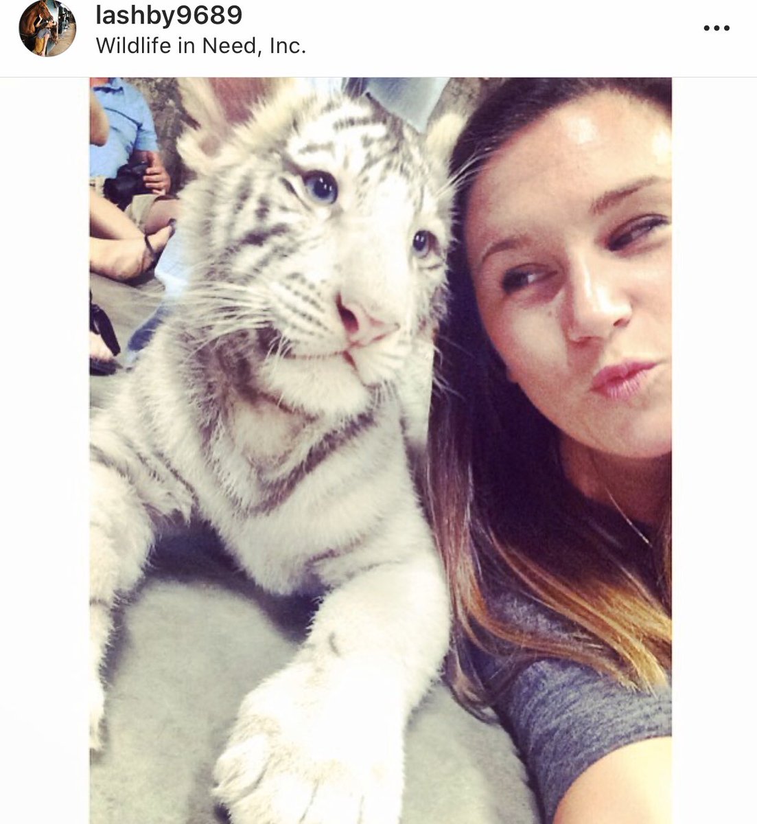 LAURENAASHBY's tweet photo. That time I went to #WildlifeInNeed #TigerKing https://t.co/nXgZ9rQ86Q
