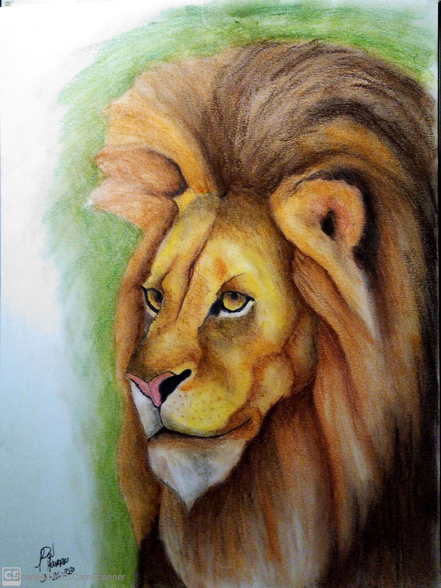 Donaldhoward58's tweet photo. Lion finished https://t.co/WgBX5KYoEs