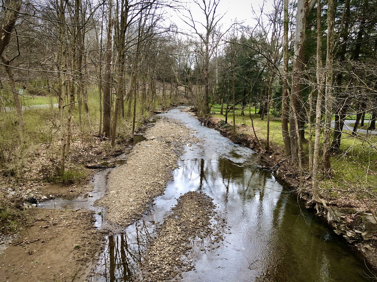 Himes412's tweet photo. Ventured up Little Sewickley Creek Road late this evening! Very isolated and almost nobody around! Shorts weather has arrived! 5 mile jog! #GhostTown #SocialDistancing #ThursdayExercise https://t.co/OWrNUIctg3