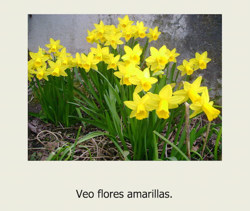 SpanishPlaygrd's tweet photo. 5 PDF books with photos and simple patterned sentences. Download to any device. #earlylang #charlaele1 #duallanguage https://t.co/UKBDNC3Wpo https://t.co/HadOlFqH5B