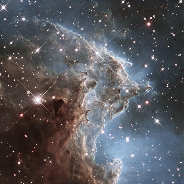 Part of the Monkey Head Nebula, brimming with young stars.Image: NASA, ESA, Hubble Heritage Team (STScI/AURA)