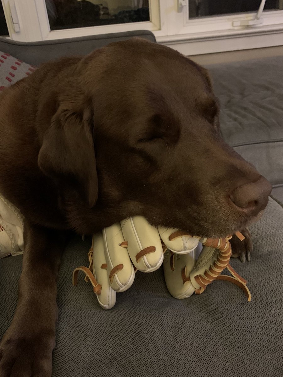 LisaHerbster's tweet photo. @JamieApody @rhyshoskins @Phillies @6abc Alice is missing baseball!! https://t.co/1T8BOnSqjy