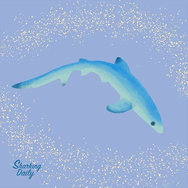 Day 344. Every moment 💫
.
.
.
I'm drawing a shark every day for a year, thank you for following and supporting me 💙🙏 Shark bless
--------------------------------------------
#shark #sharks #the_ocean #oceanart #ilovesharks #savethesharks #marineconse… ift.tt/2wxIpKi