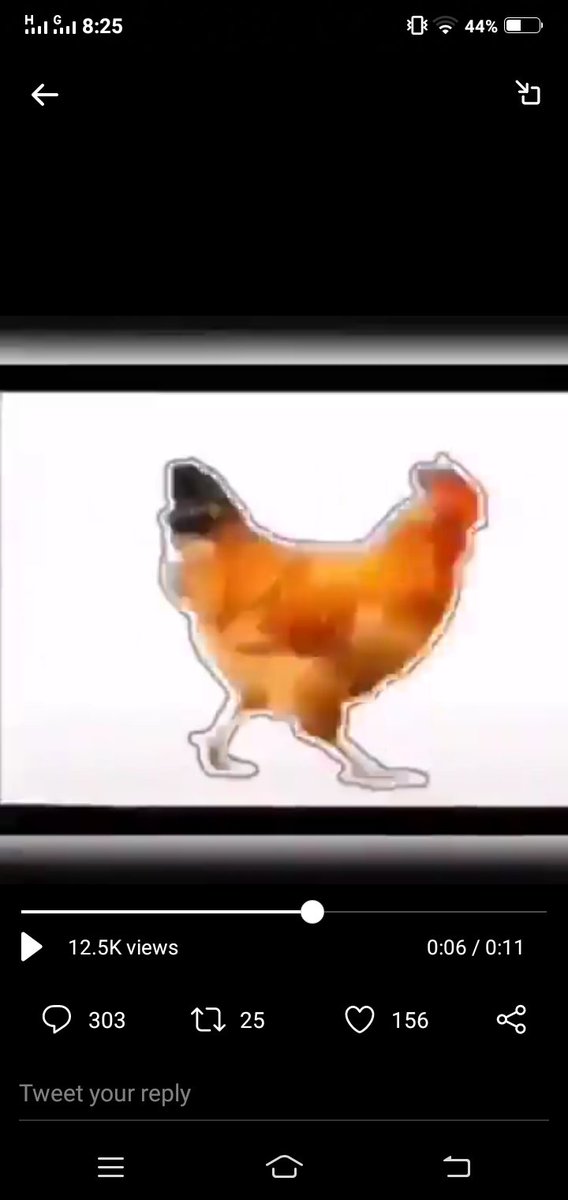 Sbjero rai tweet media