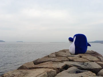画像 / Picture