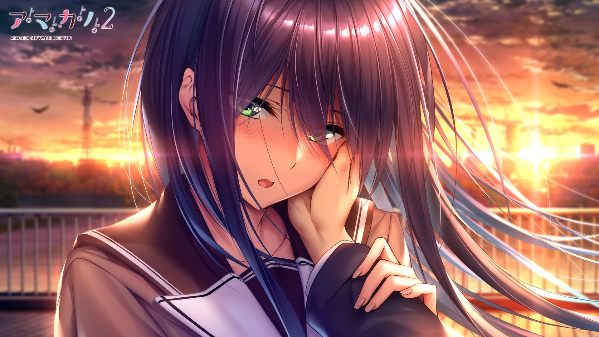 あざらしそふと こんにちは アマカノ２ の予約者引き換えイベントは中止となりましたが 壁紙 は今月もご用意しております オープニングムービーのサムネイルと同じイラストです 玲推しの方は是非こちらを使ってくださいませー アマカノ2