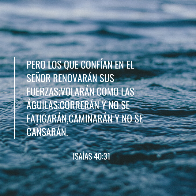 liderescatolico's tweet photo. ¡Qᴜᴇʀɪᴅᴏ Dɪᴏs, ɢʀᴀᴄɪᴀs ᴘᴏʀ ᴛᴏᴅᴏ ʟᴏ ǫᴜᴇ ɴᴏs ᴅᴀs! ⠀
⠀
#𝙲𝚒𝚝𝚊𝚍𝚎𝚕𝚍𝚒𝚊   #𝙻𝚒𝚍𝚎𝚛𝚎𝚜𝚌𝚊𝚝𝚘𝚕𝚒𝚌𝚘𝚜 https://t.co/38XtIYG7nM