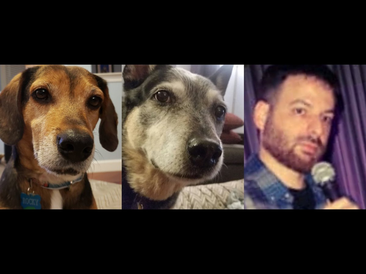 Andy Kline tweet media