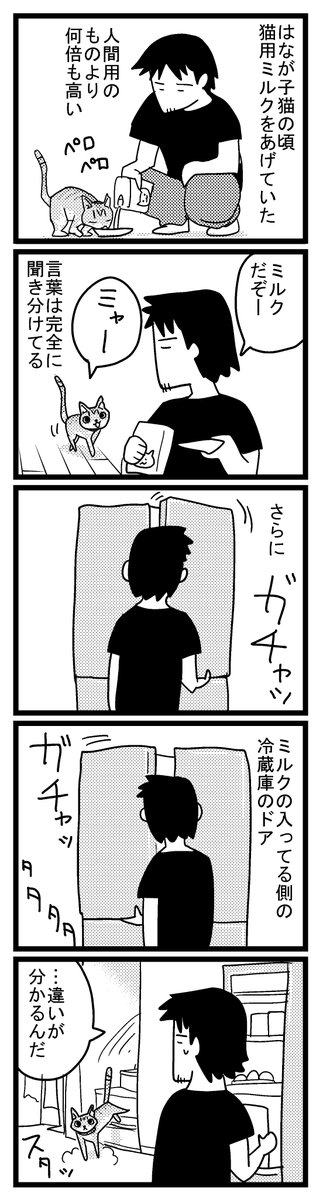 22 ちがいのわかるはな 