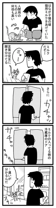 22 ちがいのわかるはな 