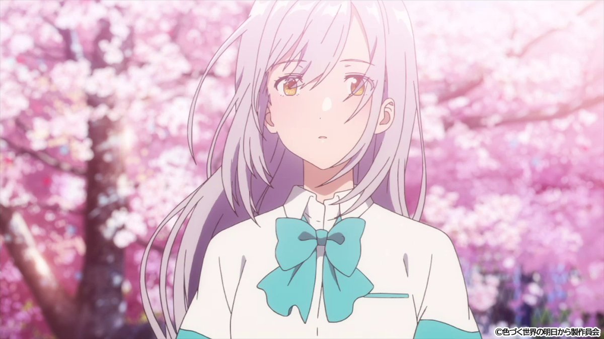 アニメ 色づく世界の明日から 公式 さくらの日 Iroduku