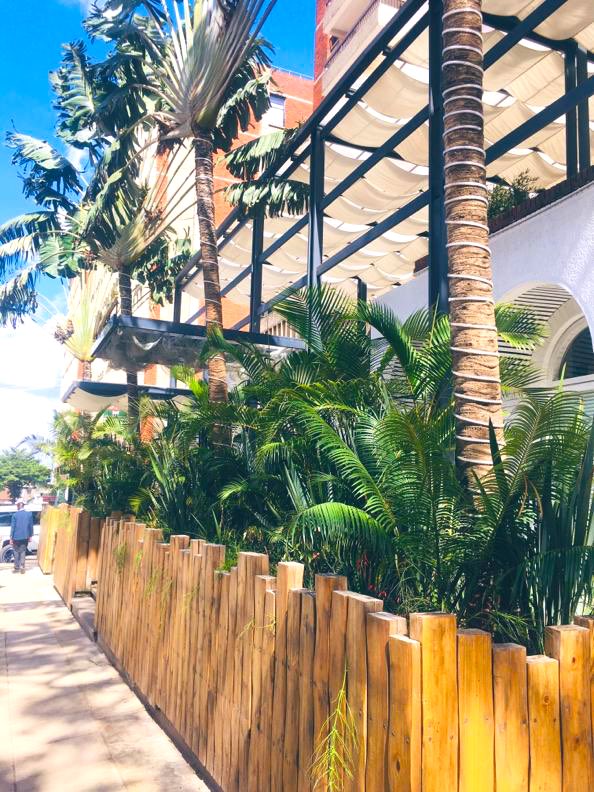 Emma999Too's tweet photo. In the face of so much anxiety, ur environs can bring you some comfort. Now that y’all are home, how about add some green to your spaces, I will offer as much advice as I can from my coach to ur garden, share pics &amp; info.
#GreenFingers
#GreenerCleanCities
#PrimeHomesAndGardensLtd https://t.co/2CEfARTwzj