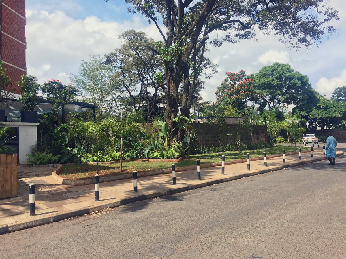 Emma999Too's tweet photo. In the face of so much anxiety, ur environs can bring you some comfort. Now that y’all are home, how about add some green to your spaces, I will offer as much advice as I can from my coach to ur garden, share pics &amp; info.
#GreenFingers
#GreenerCleanCities
#PrimeHomesAndGardensLtd https://t.co/2CEfARTwzj