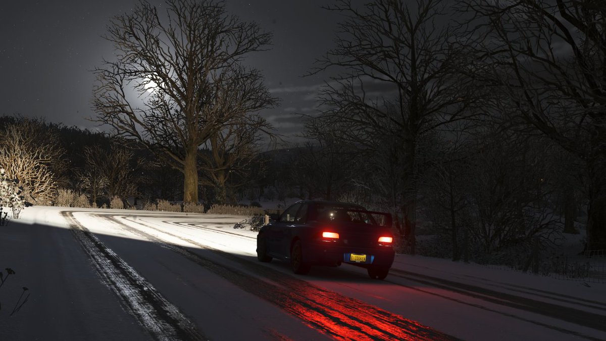 Today in Forza, I was absolutely floored the first time I noticed a full moon in this game. It was perfect covered by some thin clouds and seeing it behind a bare oak tree in winter.