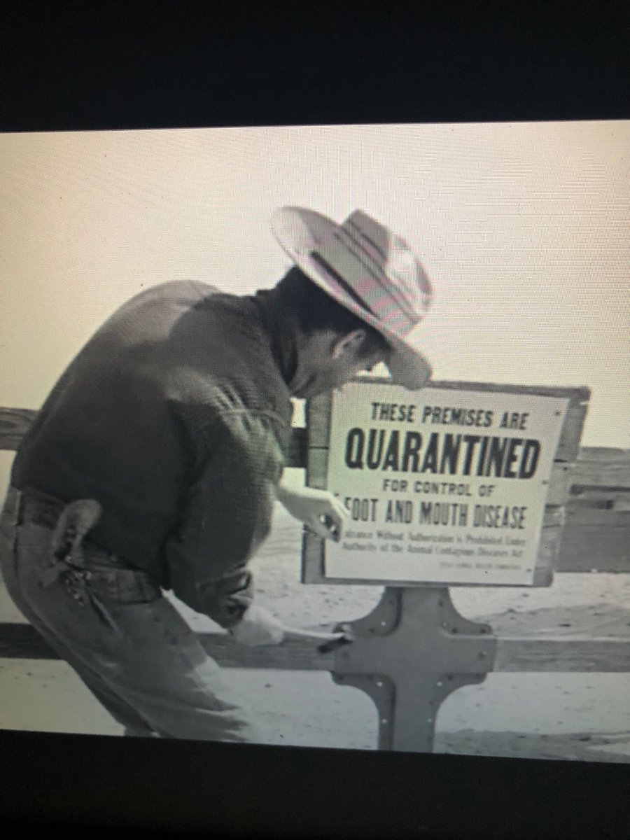 kaytee_d's tweet photo. Tried putting on an old movie I picked at random to get my mind off things. About 30 minutes in, the farmer protagonist learns his cattle have a virus and will have to be put into quarantine. Thanks, ‘Hud’ (1963) https://t.co/xDJO3q5vmI