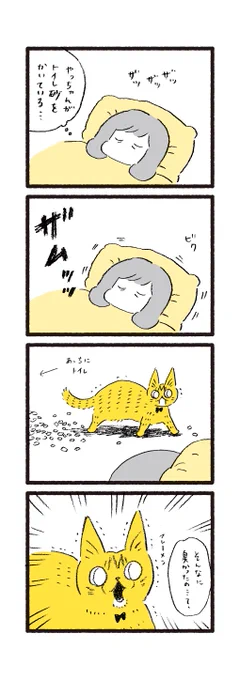 今朝のやっちゃん 