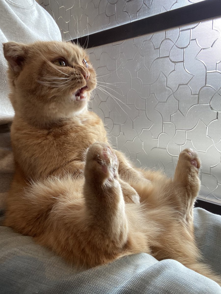 あーあ。
コロナはやくどっかいってくれないかなあ。とボヤいてます。