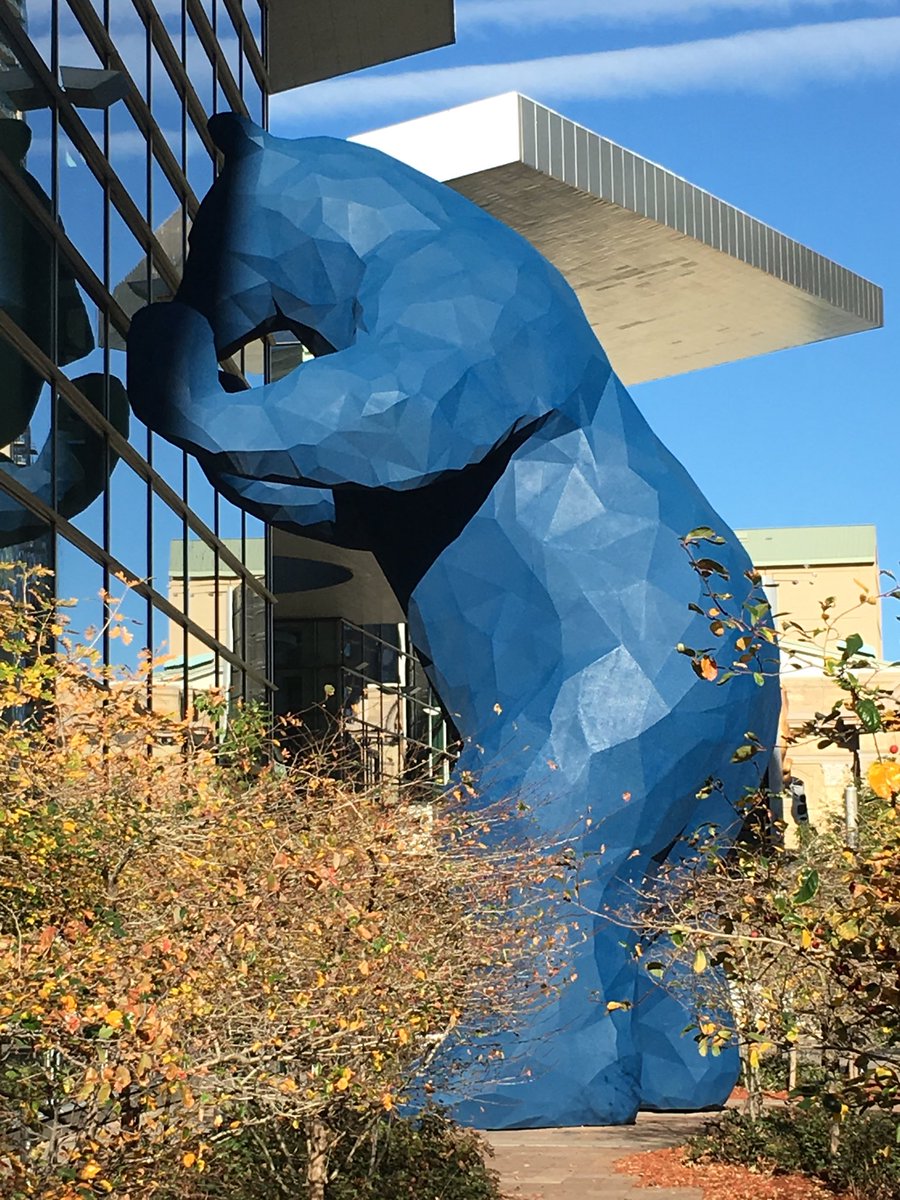 Susan Gorin tweet media