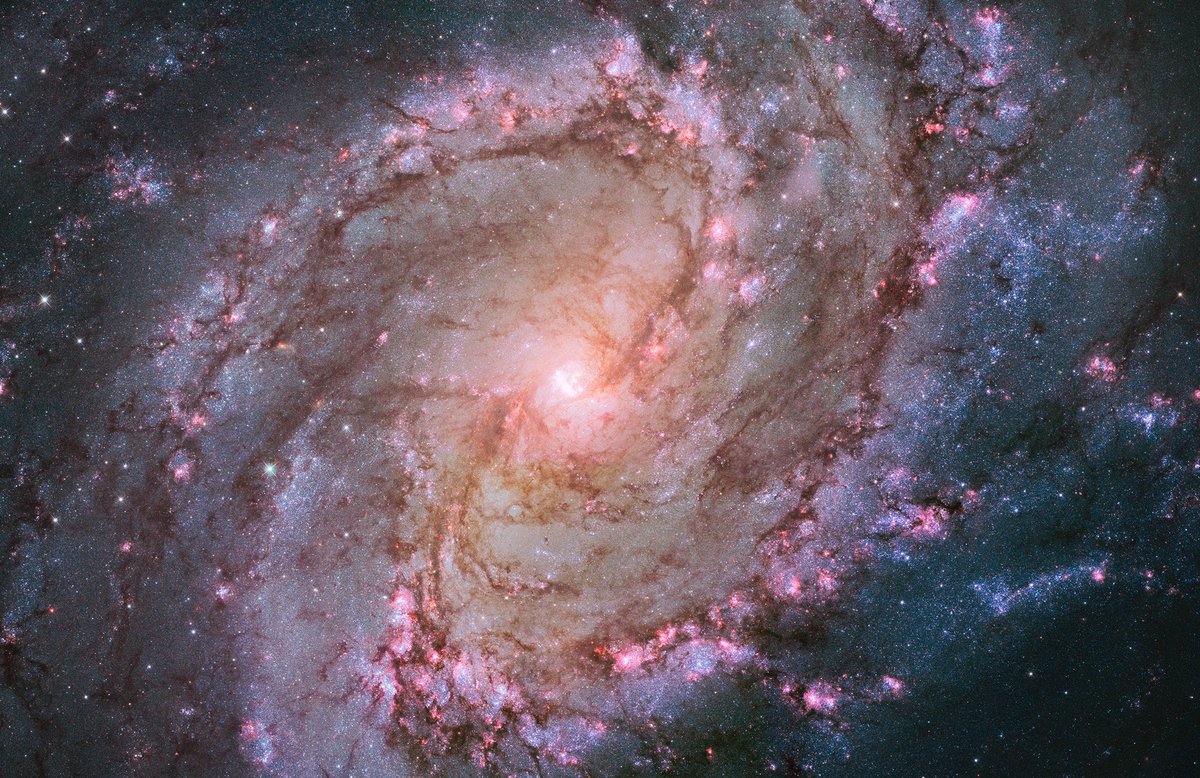 The galaxy M83 in the constellation Hydra. You can just make it out with a pair of binoculars.Image: NASA, ESA and the Hubble Heritage Team (STScI/AURA); Acknowledgment: W. Blair (STScI/Johns Hopkins University) and R. O’Connell (University of Virginia)