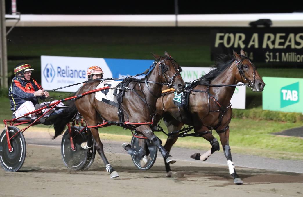 Bathurst Gold Tiara winning filly Michelle Lee Mac will be at Bathurst this Saturday night as she attempts to add another Group 1 feature to her growing list of feature wins.  Good luck to the entire team and Michelle Lee Mac.  #alliedexpress #nswharnessracing
