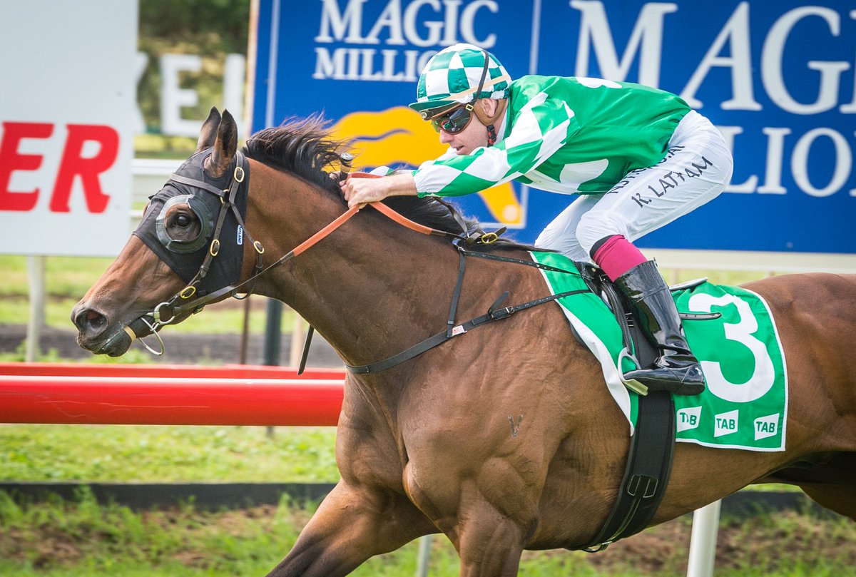 Muswellbrook Race Club tweet media