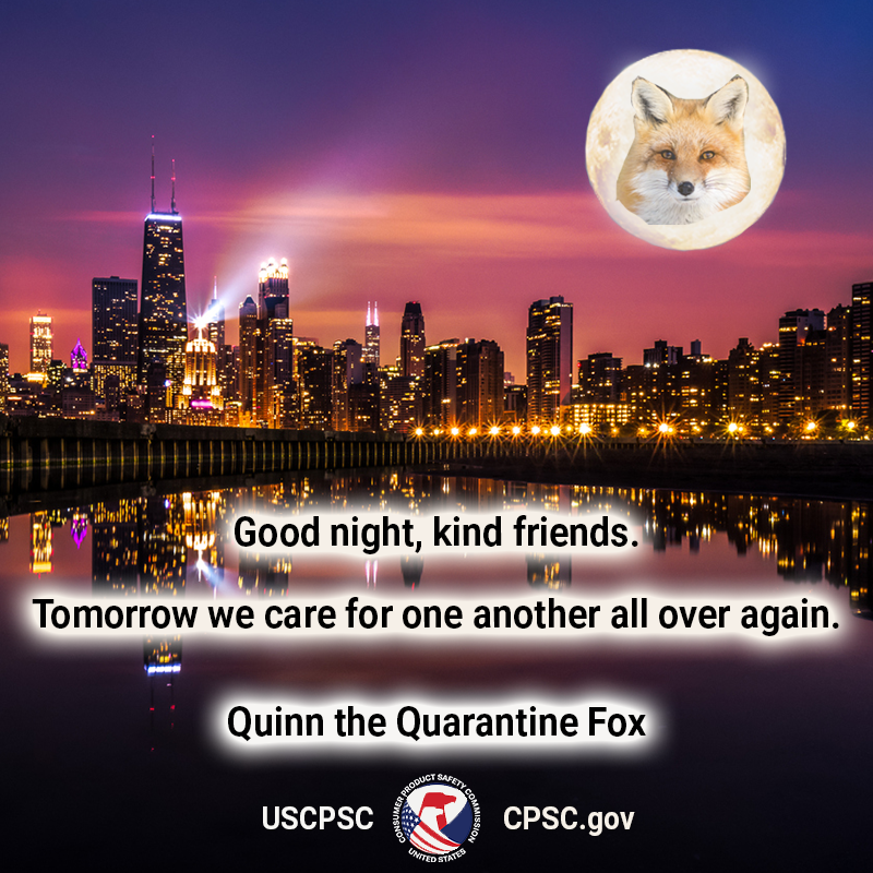 A photo of the Chicago skyline at night. A fox in the moon says: Good night, kind friends. Tomorrow we care for one another all over again. Quinn the quarantine fox.