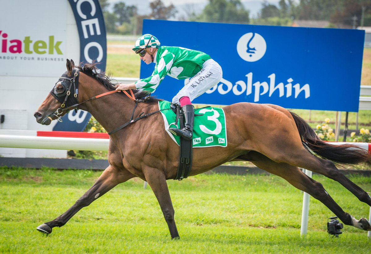 Muswellbrook Race Club tweet media