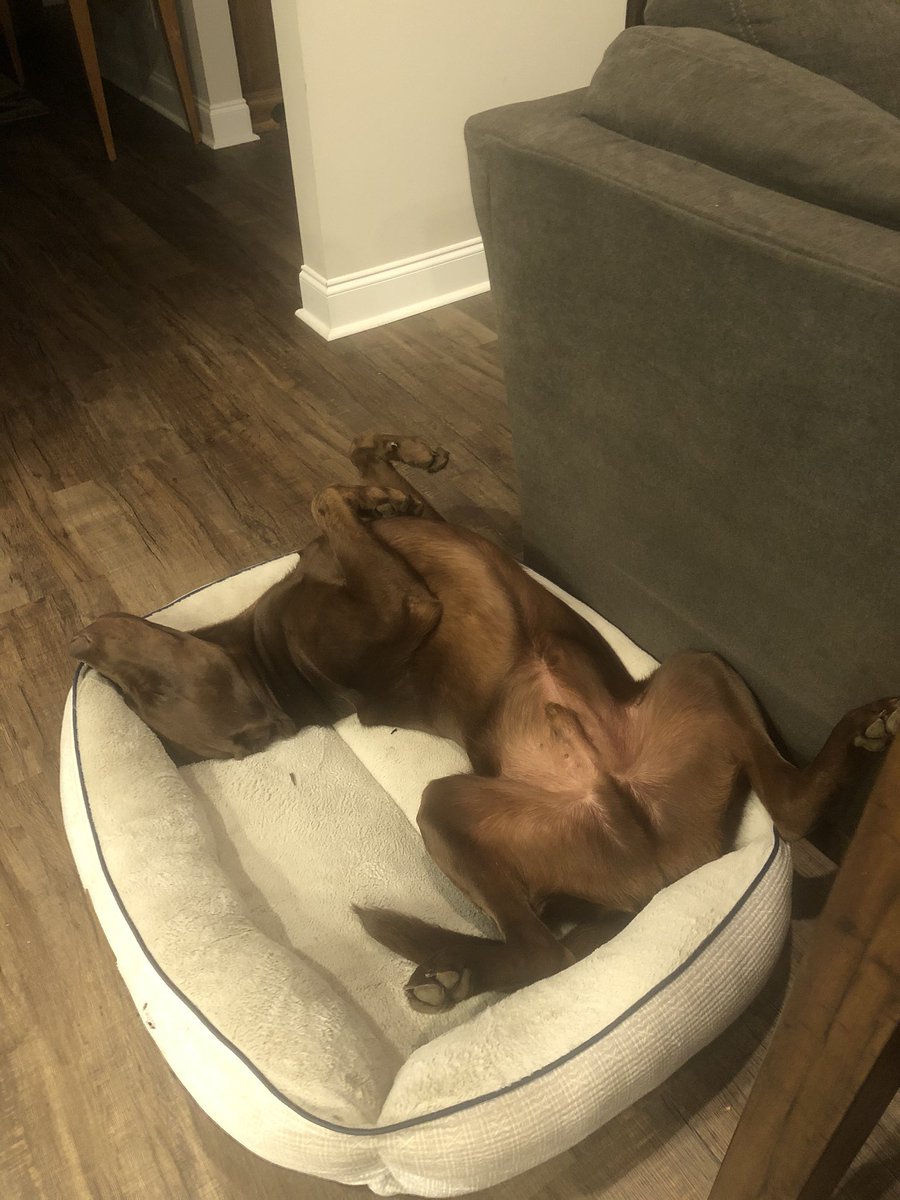 Im_That_Dad_KJ's tweet photo. My sleep has never been this good!! #THATGOODLIFE https://t.co/539GR4d3xB