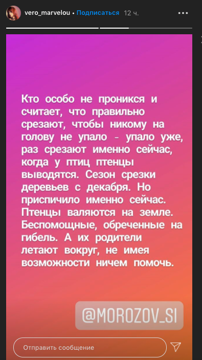 Ulderevo tweet picture