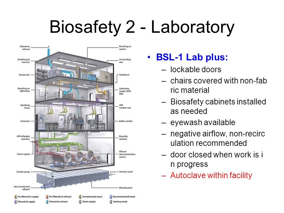 IceMago's tweet photo. @rapplerdotcom Can someone from @DOHgovph please release an infographic of what is needed for a BSL 2 lab just like the one below but sort of simplified so that LGUs will know what to prepare? https://t.co/Xz8doHwwuG