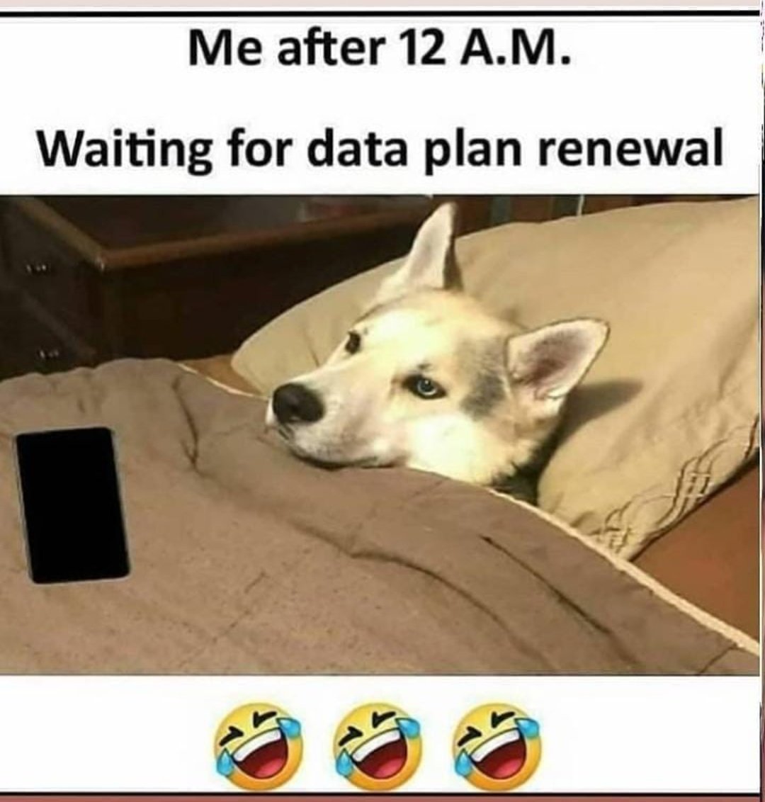 RajrajeshwarYa5's tweet image. 