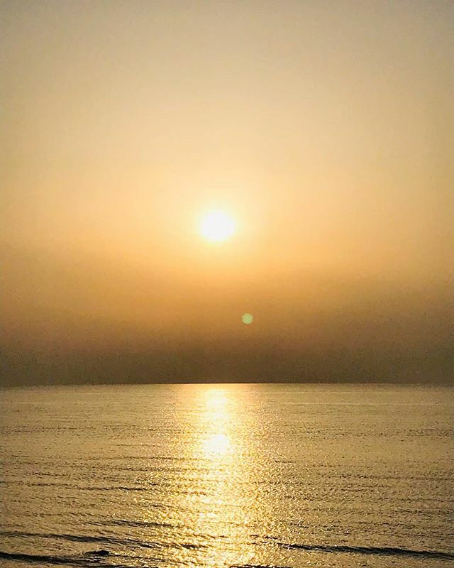 Sreeja77's tweet photo. Wake up for the sunrise, stay out for the moon... #sunrise #sunset #nature #sky #photography #landscape #ig #sun #naturephotography #clouds #photooftheday #morning #love #beach #beautiful #landscapephotography #instagood #goodmorning #picoftheday #sea #s… https://t.co/7HDGyOetKL https://t.co/zXXvP04FCI