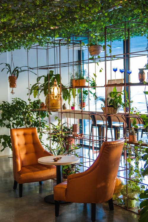 _DesignInsider's tweet photo. Indoor plants are my favorite! #plants #nature #greenery
Check out my blog to find out the best plants for your home! https://t.co/F0WMy9IFus https://t.co/PJM95CSpR7