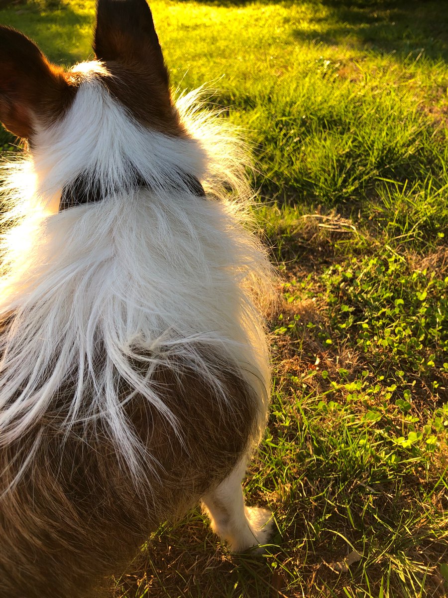 Catherine Crameri tweet media