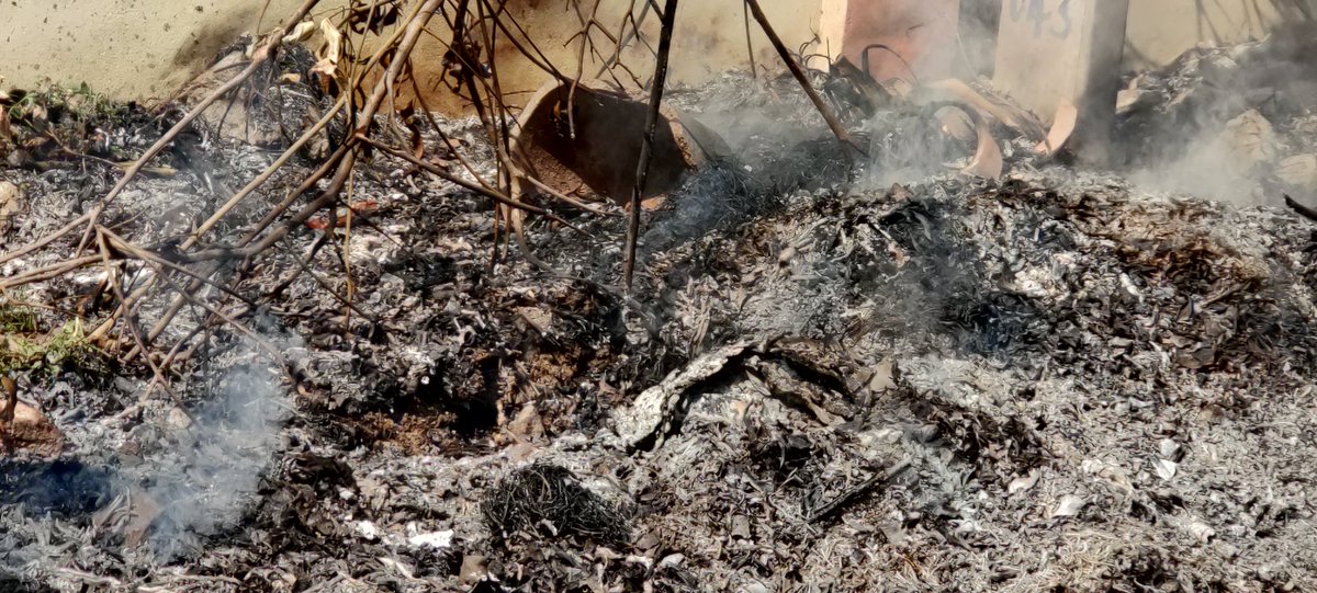 Y C S Reddy tweet media