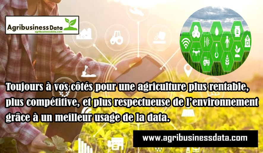 agribusdata's tweet photo. Est-il possible de faire une agriculture de précision? @agribusdata vous rend la tâche facile.
#AgriPrecision
#agriculture #Agribusiness
#Agripreneurs https://t.co/7RuifPsKgs