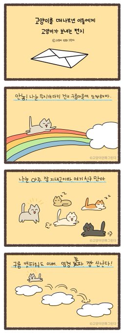 무지개 다리 건넌 고양이가 집사에게 보내는 편지 