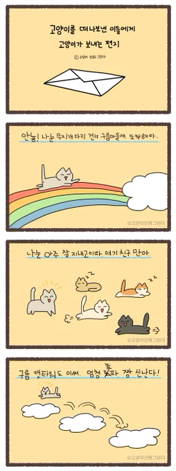무지개 다리 건넌 고양이가 집사에게 보내는 편지 