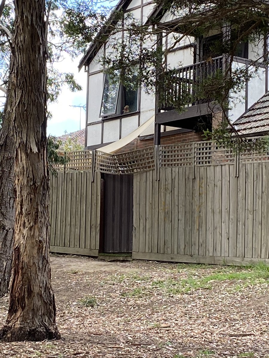 sallyrugg's tweet photo. Thank you to the houses in our neighbourhood who’ve put teddies in their windows ❤️ the kids LOVE playing Bear Hunt, and it’s nice to remember we’re all still connected. 

Please put a teddy in your window, if you can! https://t.co/dY02z7rhBb