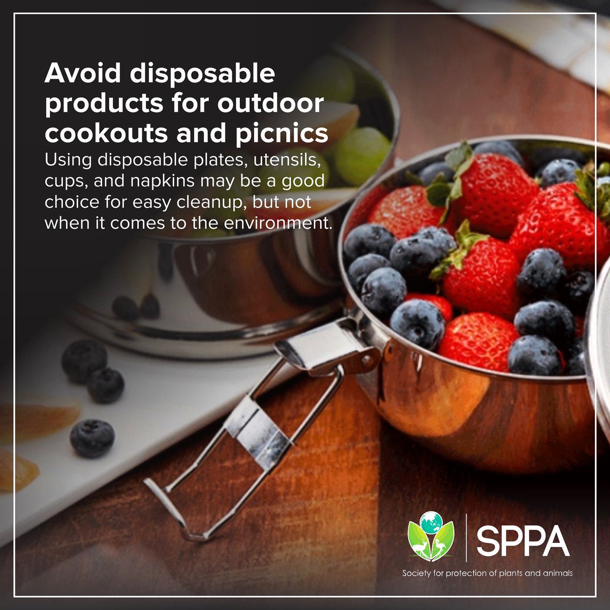 sppaind's tweet photo. Avoid disposable products for outdoor cookouts and picnics
Using disposable plates, utensils, cups, and napkins may be a good choice for easy cleanup, but not when it comes to the environment.
#SPPA #ChangeTheWorld #BetterTomorrow #Environment #Environmentalist #support_sppa https://t.co/98G4bo4Yh5